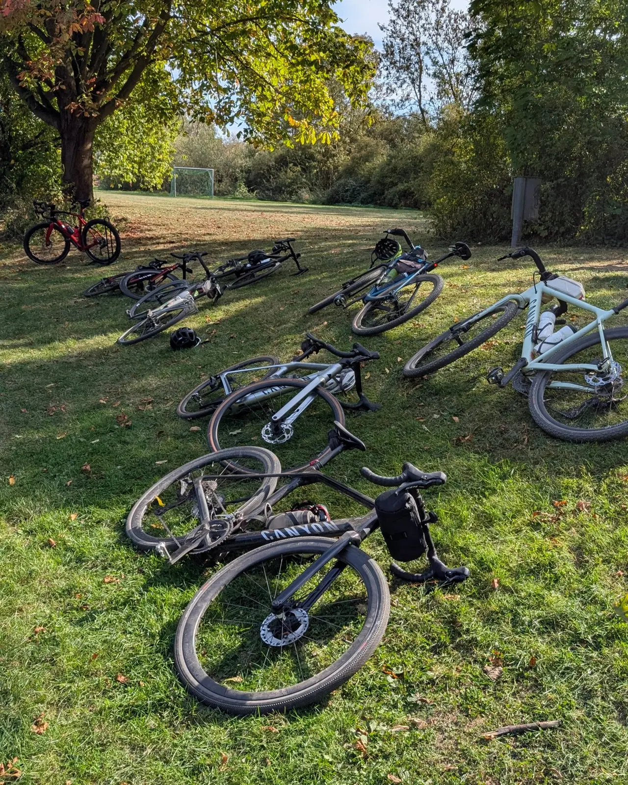Fahrräder bei einer Pause im Grünen